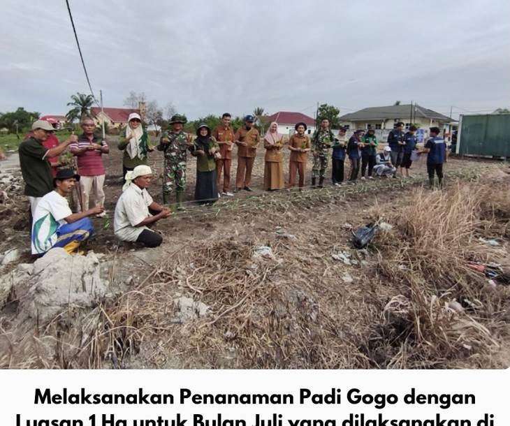 Dinas Pertanian dan Perikanan Kota Pekanbaru Gelar Penanaman Padi Gogo di Kelurahan Palas