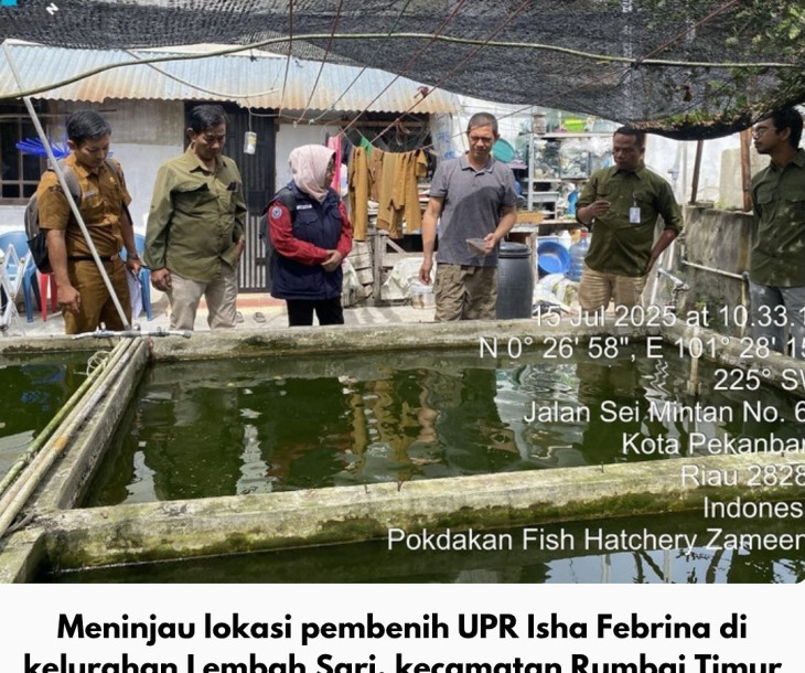 Dinas Pertanian dan Perikanan Kota Pekanbaru Tinjau Lokasi Pembenihan Ikan di Dua Lokasi