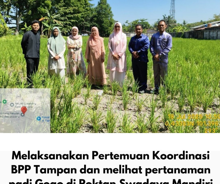 Dinas Pertanian dan Perikanan Kota Pekanbaru Gelar Pertemuan Koordinasi dan Tinjau Lahan Padi Gogo di BPP Tampan