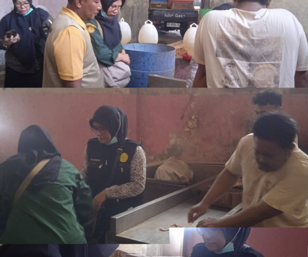 Dinas Pertanian dan Perikanan Kota Pekanbaru mendampingi Tim Balai Veteriner Bukittinggi dalam kegiatan monitoring dan surveilans residu, cemaran mikroba, serta penyidikan dan pengujian penyakit Avian Influenza (AI)