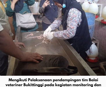 Panen Padi Rawa Varietas Logawa, Dinas Pertanian dan Perikanan Kota Pekanbaru Dorong Produktivitas Petani