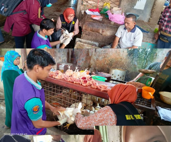 Dinas Pertanian dan Perikanan Kota Pekanbaru melalui Bidang Peternakan dan Kesehatan Hewan, yang diwakili oleh drh. Kusuma Ayuningsih dan Deni Oknarianto, S.Pt, turut serta dalam kegiatan Surveilans Avian Influenza (AI) yang dilaksanakan oleh Tim Balai Ve