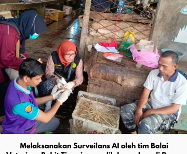 Puskeswan Tenayan Raya Laksanakan Giat Rutin Pelayanan Kesehatan Hewan