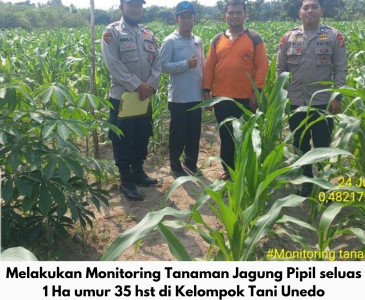 Dinas Pertanian dan Perikanan Kota Pekanbaru Laksanakan Monitoring Pembenihan Ikan di UPT Eko/Markam