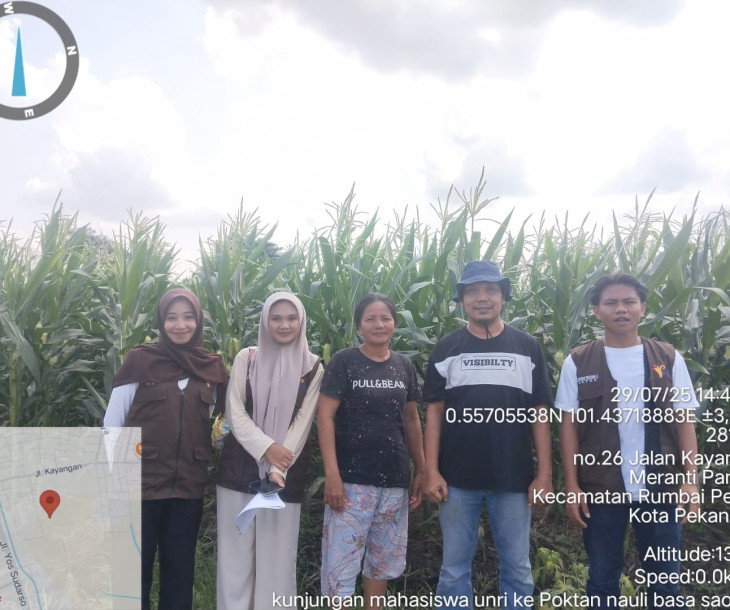 Dinas Pertanian dan Perikanan Kota Pekanbaru Dampingi Mahasiswa Universtas Riau Tinjau Pertumbuhan Jagung Manis di Kecamatan Rumbai