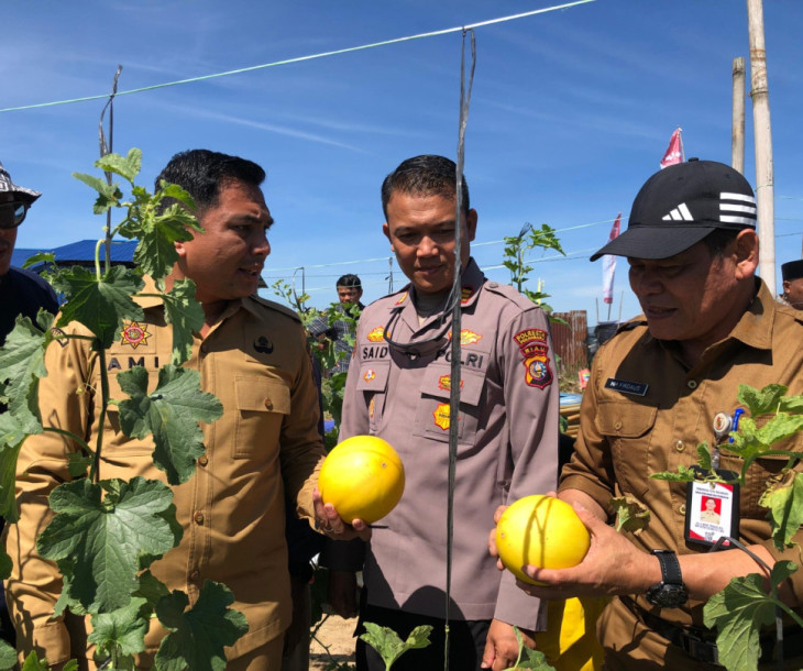 Panen Raya Melon & Soft Launching UPST Agrowisata di Rumbai Barat