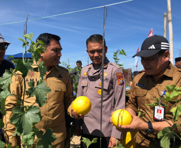 Kunjungan dan Monitoring Dinas Pertanian dan Perikanan Kota Pekanbaru di Puskeswan Rumbai