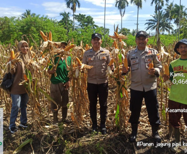 Kunjungan dan Monitoring Dinas Pertanian dan Perikanan Kota Pekanbaru di Puskeswan Rumbai