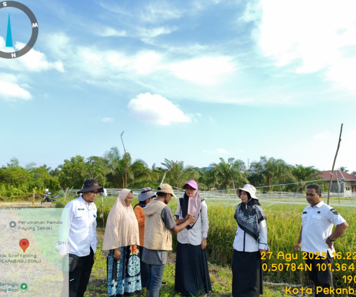 Dinas Pertanian dan Perikanan Kota Pekanbaru Laksanakan Monitoring Pertanaman Padi Gogo di Kelurahan Sungai Sibam