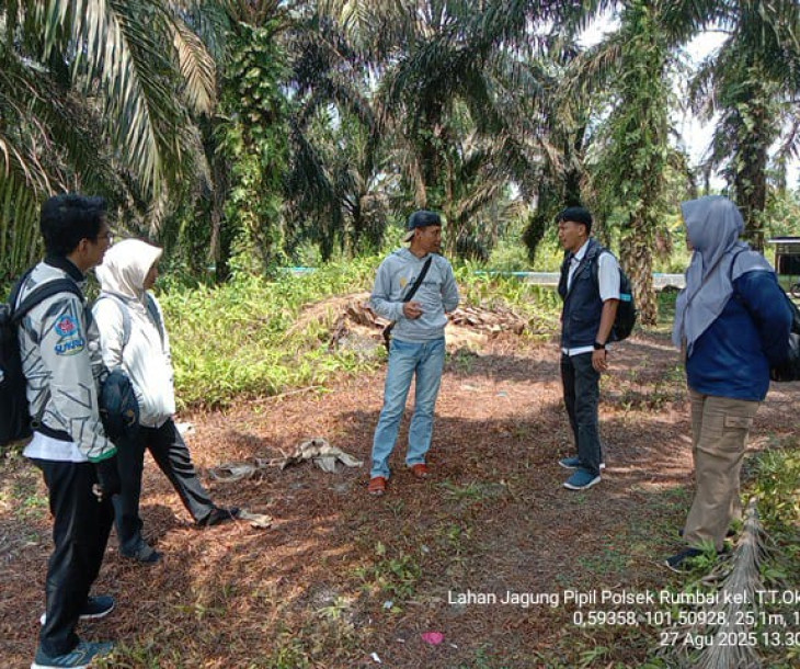 Dinas Pertanian dan Perikanan Kota Pekanbaru Laksanakan Monitoring Persiapan Lahan Penanaman Jagung Pipil di Poktan Suka Mandiri