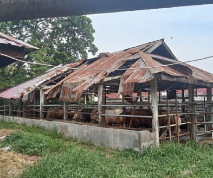 Pengecekan Kondisi Aset Bangunan di RPH Ruminasia