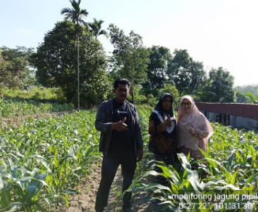 Kunjungan Anjangsana Perorangan ke Kelompok Sayur Daun Lebar