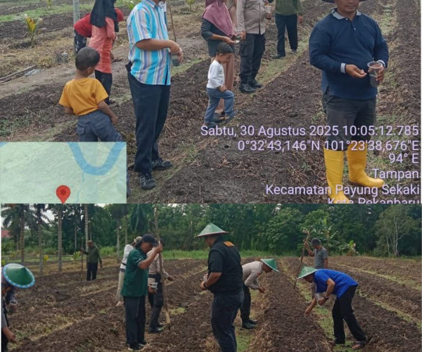 Penanaman simbolis jagung pipil