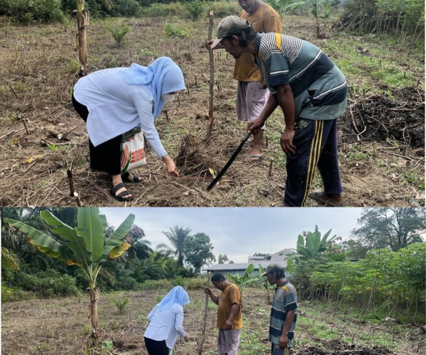 Anjangsana Penanaman Jagung Pipil di Poktan Usaha Tani