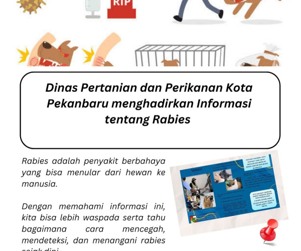 WASPADA PENYAKIT RABIES