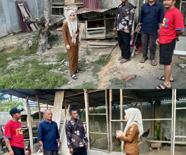 Monitoring Peternakan Ayam Kampung