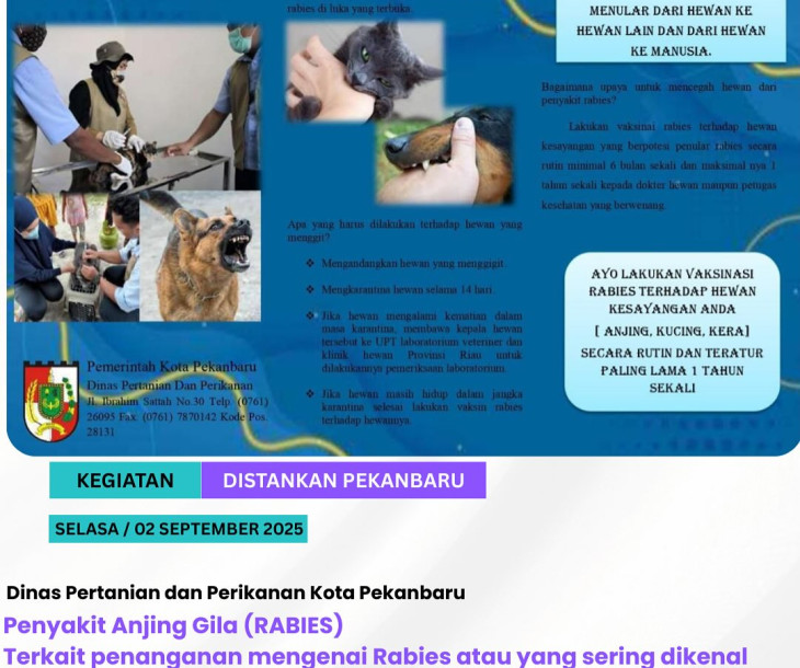 WASPADA PENYAKIT RABIES