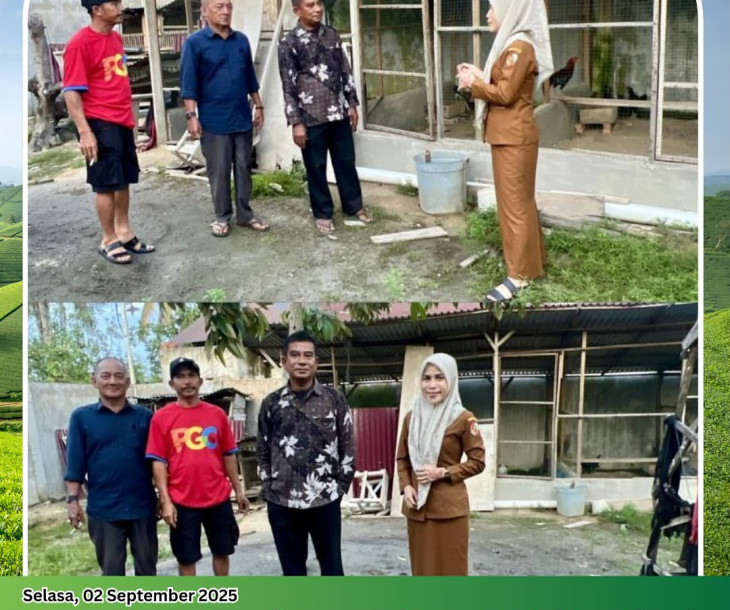 Monitoring Peternakan Ayam Kampung di Kelompok Tani (Poktan) Sianok Mandiri