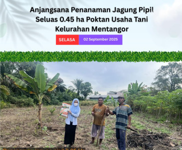 Monev Kondisi Penanaman Padi di Poktan Aman Sejahtera