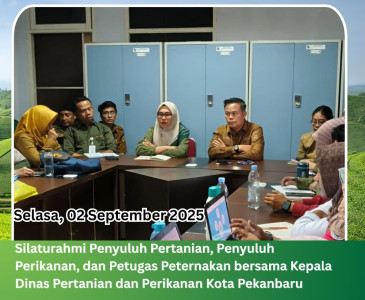 Monev Kondisi Penanaman Padi di Poktan Aman Sejahtera