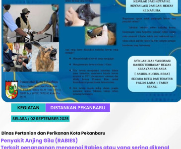 Silaturahmi Penyuluh Pertanian, Penyuluh Perikanan, dan Petugas Peternakan bersama Kepala Dinas Pertanian dan Perikanan Kota Pekanbaru