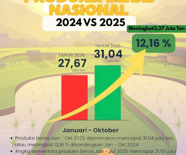 Produksi Beras Nasional