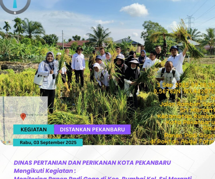Monitoring Panen Padi Gogo di Kecamatan Rumbai