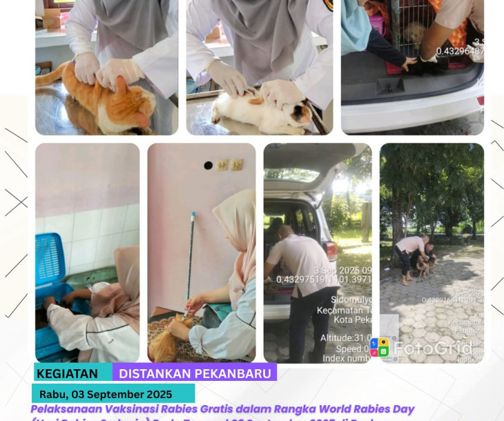 Pelaksanakan Kegiatan Vaksinasi Rabies Gratis dalam Rangka World Rabies Day