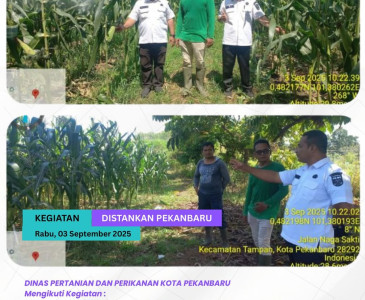 Rapat Rutin Bulanan BPP Rumbai