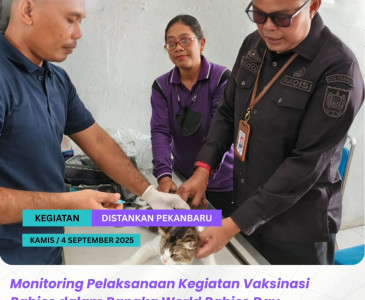 Monitoring & Penyerahan Bibit Cabe Mahasiswa KKN UMRI kepada masyarakat