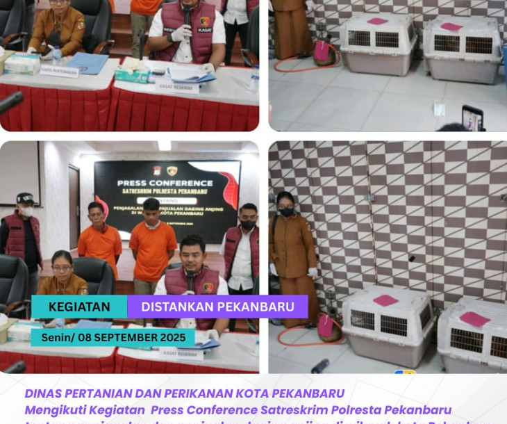 Pengungkapan Kasus Penjagalan & Perdagangan Daging Anjing di Kota Pekanbaru