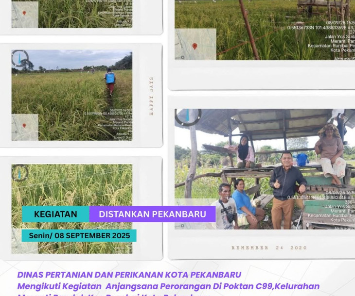 Anjangsana Perorangan di Poktan C99 – Kelurahan Meranti Pandak