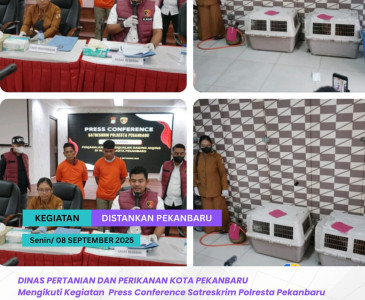 Anjangsana Perorangan di Poktan C99 – Kelurahan Meranti Pandak