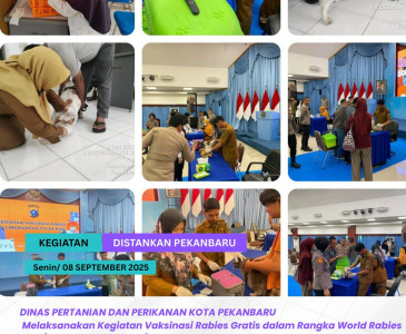 Anjangsana Perorangan di Poktan C99 – Kelurahan Meranti Pandak