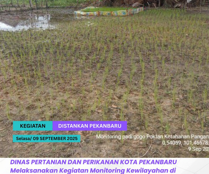 Monitoring Kewilayahan Poktan Ketahanan Pangan