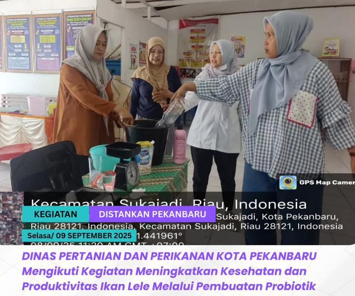 Peningkatan Kesehatan & Produktivitas Ikan Lele melalui Pembuatan Probiotik