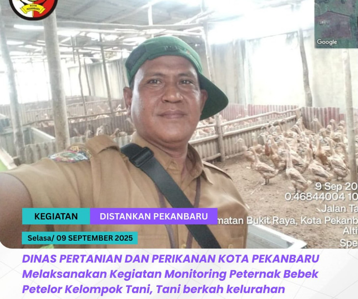 Monitoring Peternak Bebek Petelur  Kelompok Tani