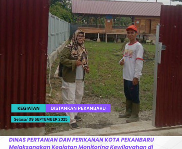 Anjangsana & Monitoring Pertumbuhan Jagung Pipil di Kelurahan Kulim, Kecamatan Kulim