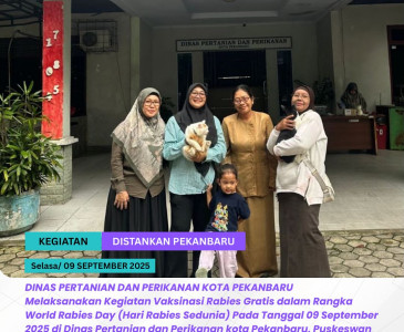 Monitoring Peternak Bebek Petelur  Kelompok Tani