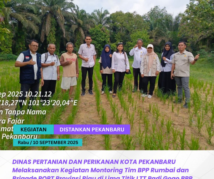 Monitoring dan Evaluasi LTT Padi Gogo BPP Rumbai