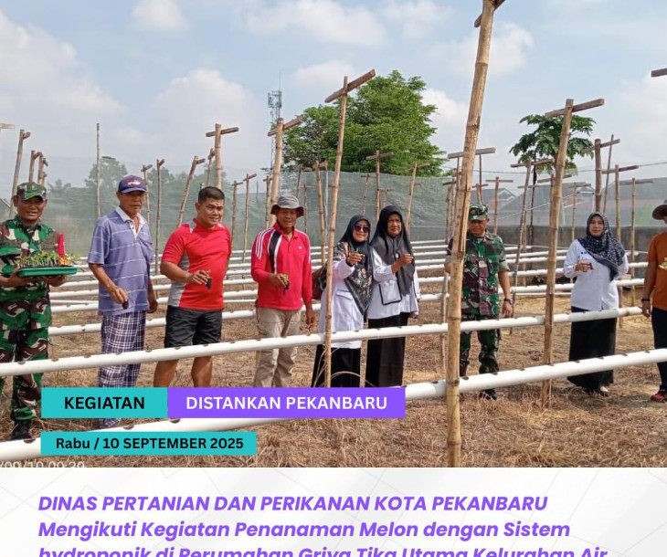 Penanaman Melon Sistem Hidroponik di Griya Tika Utama