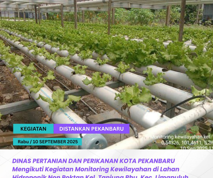 Monitoring Kewilayahan Kelurahan Tanjung Rhu, Kec. Limapuluh