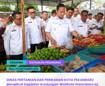 Kunjungan Kepala Dinas Pertanian dan Perikanan Kota Pekanbaru ke Unit Usaha Melayu Crackers