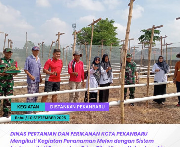 Monitoring dan Evaluasi LTT Padi Gogo BPP Rumbai
