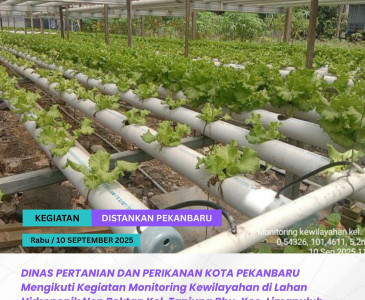 Penanaman Melon Sistem Hidroponik di Griya Tika Utama