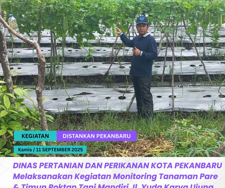 Monitoring Tanaman Pare & Timun di Poktan Tani Mandiri