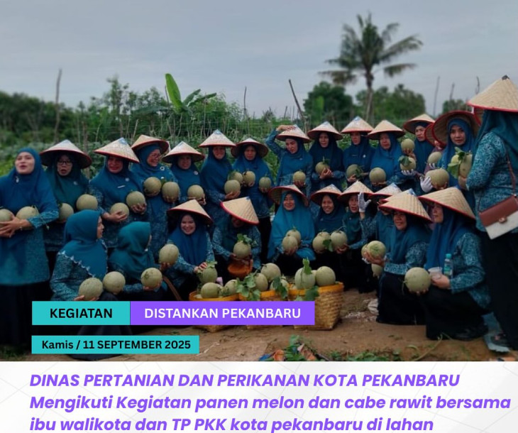 PANEN MELON & CABE RAWIT BERSAMA TP PKK KOTA PEKANBARU