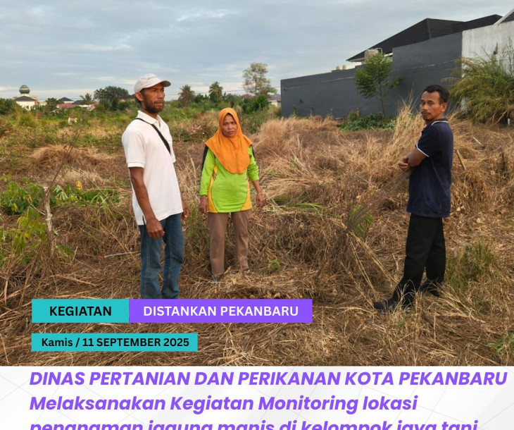 Monitoring Lokasi Penanaman Jagung Manis