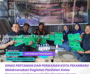 PANEN MELON & CABE RAWIT BERSAMA TP PKK KOTA PEKANBARU