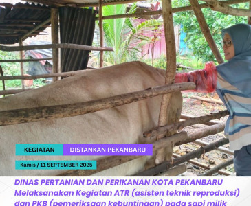 Monitoring Lokasi Penanaman Jagung Manis